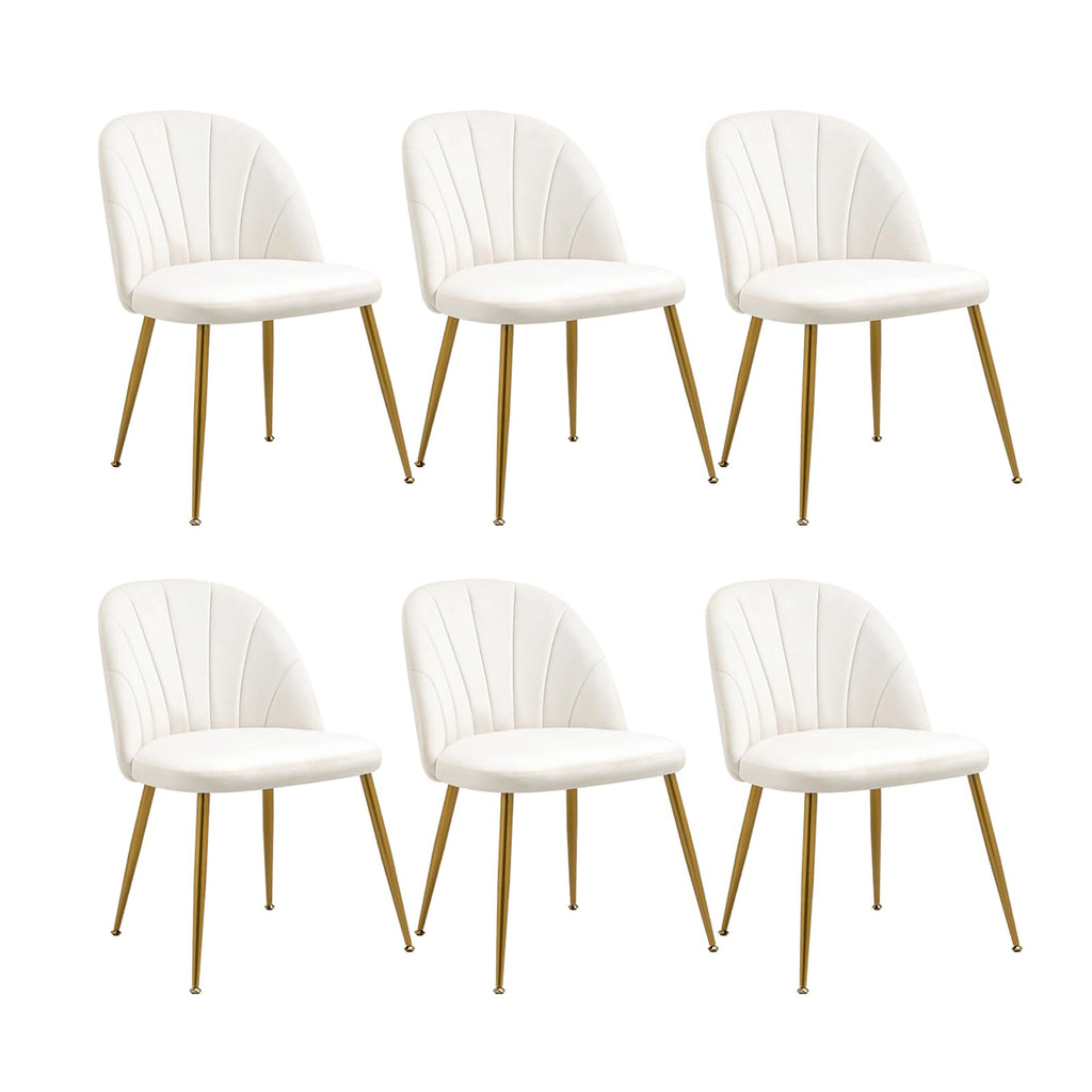 Velvet Dining Chairs Set of 4, Mid-Century Modern Upholstered Kitchen Chair with Metal Gold Legs for Living Room, Dining Room, White