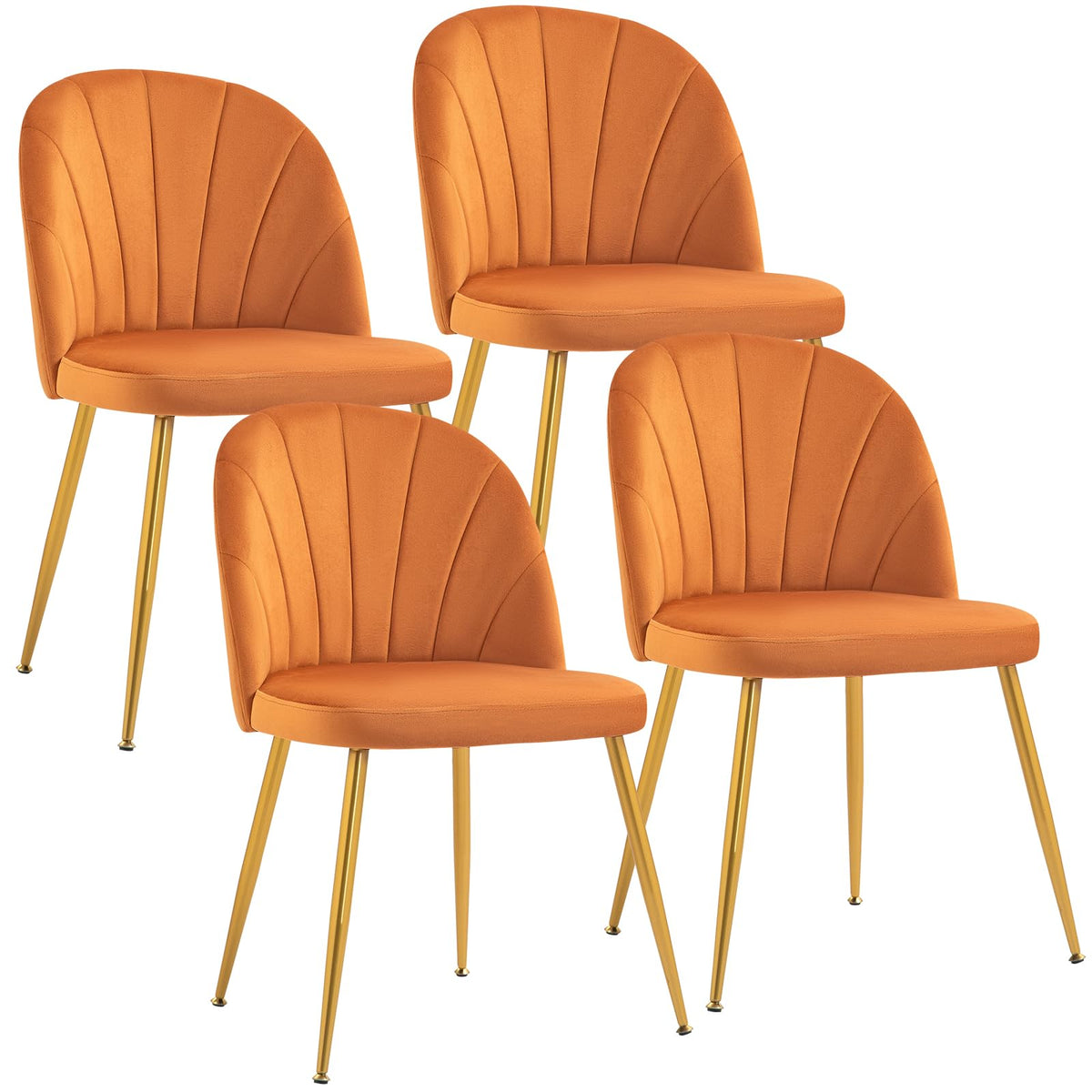 Velvet Dining Chairs Set of 4, Mid-Century Modern Upholstered Kitchen Chair with Metal Gold Legs for Living Room, Dining Room, White