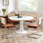 Zesthouse Natural Rattan Dining Chairs Set of 2, Modern Cesca Kitchen Chair