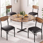 Jocoevol Dining Chairs Set of 4, Dining Room Chairs, Kitchen Chairs