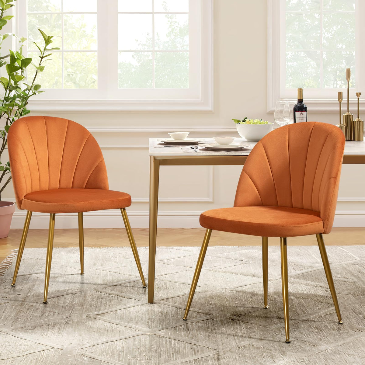Velvet Dining Chairs Set of 4, Mid-Century Modern Upholstered Kitchen Chair with Metal Gold Legs for Living Room, Dining Room, White